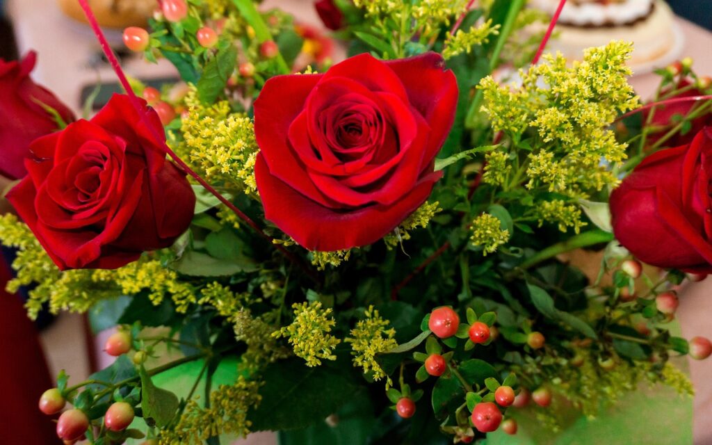 flore, rose flower, bedding plant, beautiful flowers, garden plant, ornamental plant, flower, flower background, nature, flora, beautiful, color, bloom, blossom, plant, ecuador, joga, flower wallpaper, rose, red