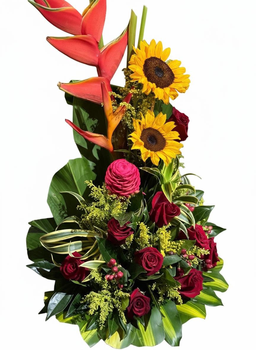 faucibus ornare faucibus ornare