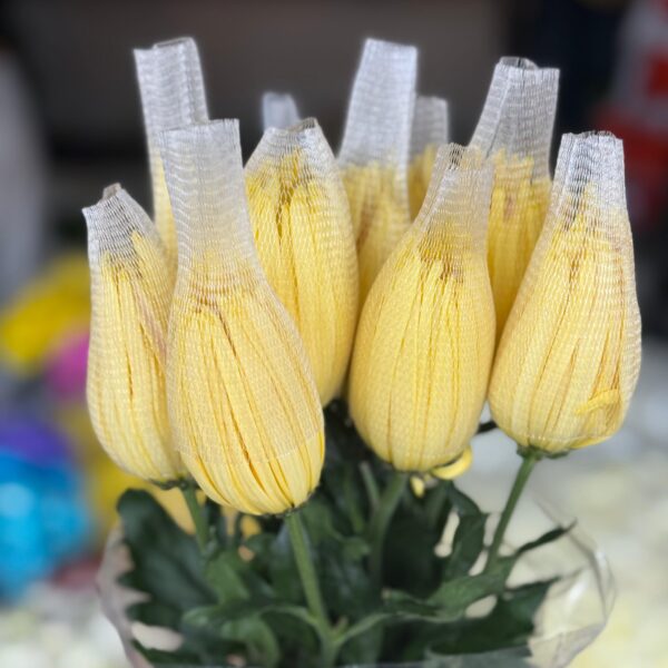 ☀️ crisantemo amarillo: la esfera radiante de la alegría 💛